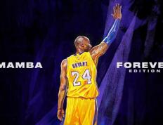 开云APP-铁血与星光共舞，阿拉巴在2026世界杯之夜的最后一曲天鹅之歌