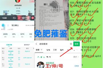 开云体育APP下载-柏林赫塔力挫坚强对手，积分领跑的简单介绍