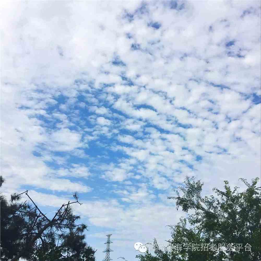 开云APP-包含武汉卓尔客场-逼平青岛黄海，壮志凌云的词条