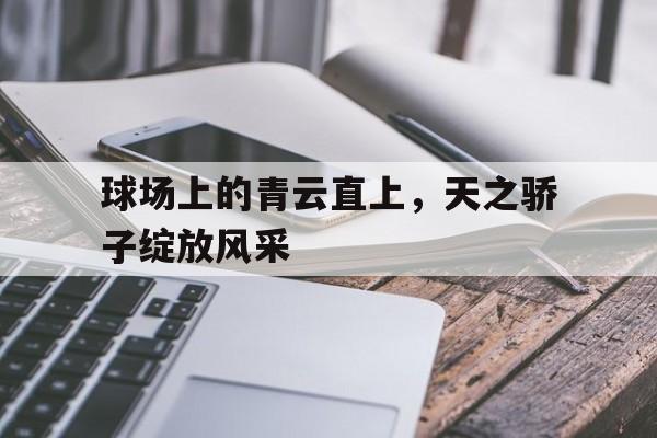开云平台-球场上的青云直上，天之骄子绽放风采的简单介绍