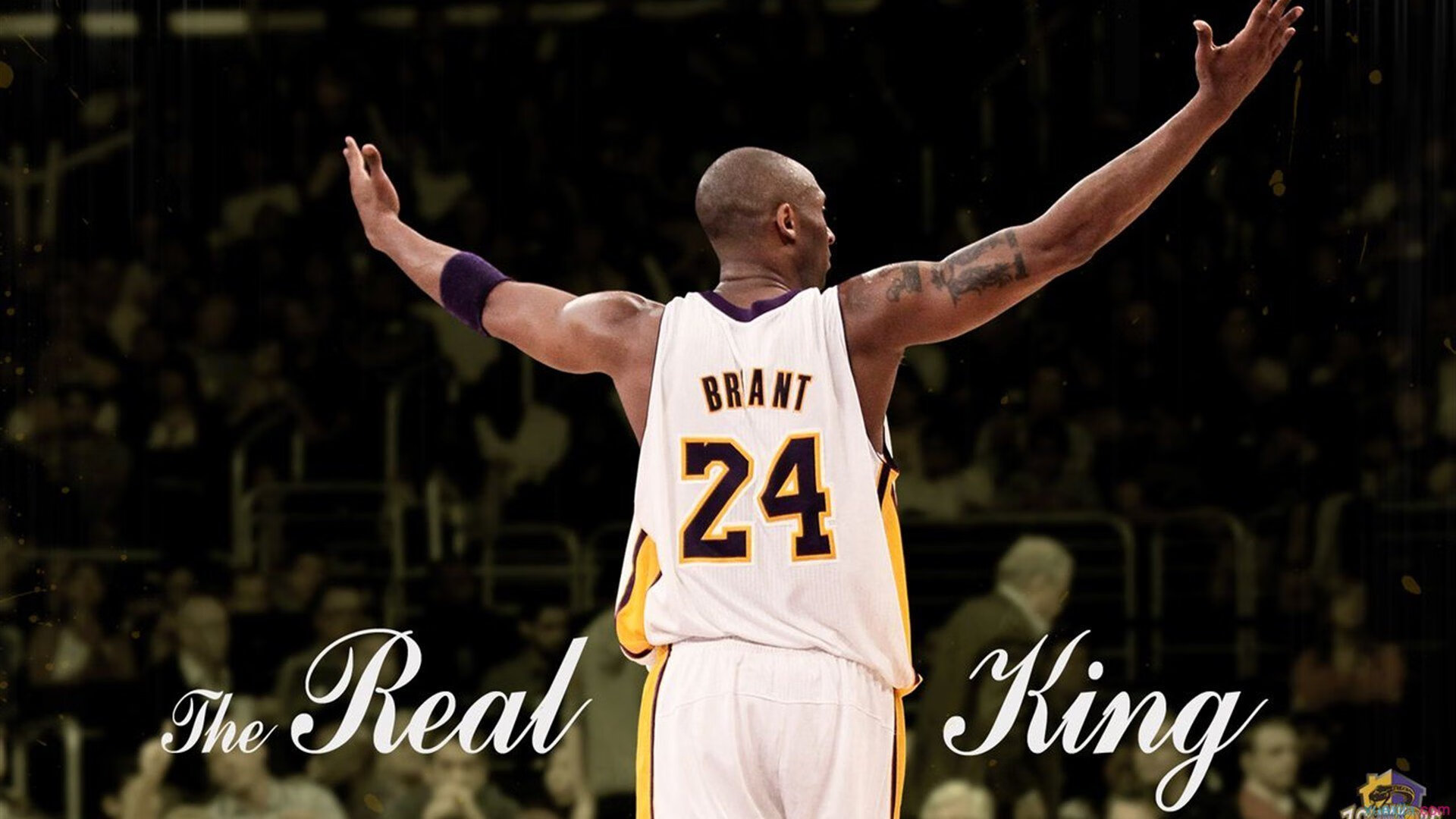 开云官网-荒诞与统治，当爵士在空荡球馆淘汰深圳，贝恩的数据风暴